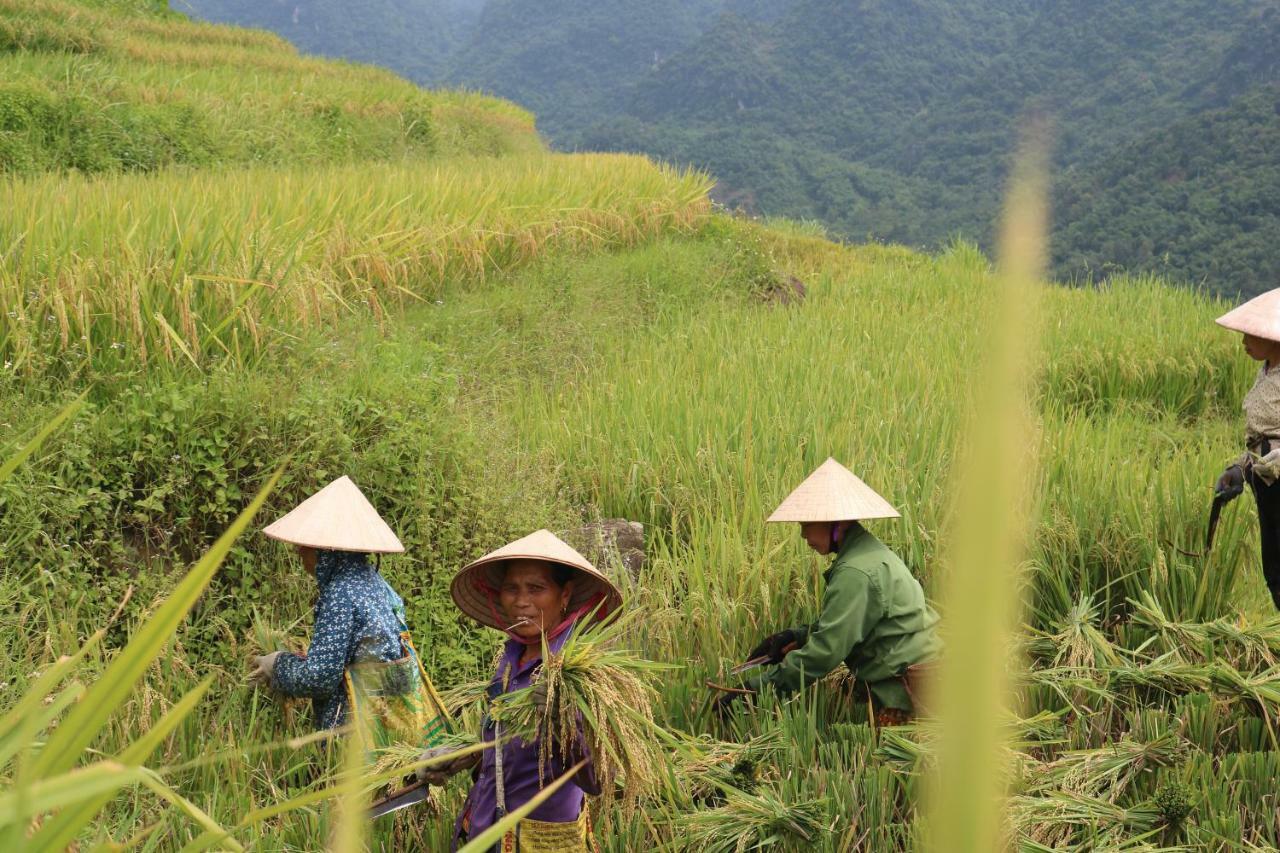 Pu Luong Ecolodge ภายนอก รูปภาพ